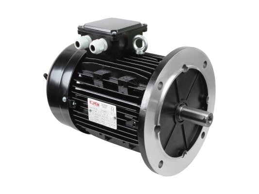 Ecoflam 6XM 100L2 Electric Motor, 3 kW, Art: 65312555.