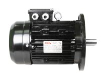 Ecoflam 6XM 100L2 electric motor, 3 kW, 65312555