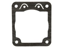 Ecoflam 13016205 cover gasket