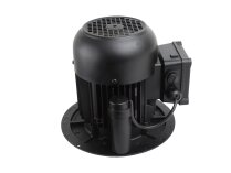 Weishaupt EC90/90-2/1 electric motor