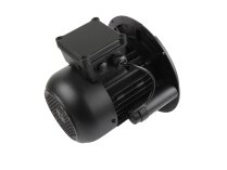 Weishaupt EC90/90-2/1 electric motor