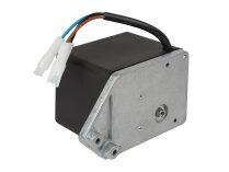 Riello Servo Actuator 3002470