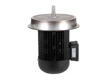 Weishaupt W-D132/210-2/10K0 electric motor