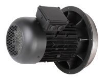 Weishaupt W-D132/210-2/10K0 electric motor