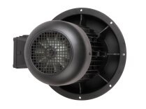 Weishaupt W-D132/210-2/10K0 electric motor