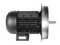 Motor eléctrico Weishaupt W-D132/210-2/10K0