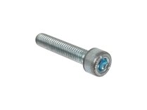 Weishaupt Screw 402249
