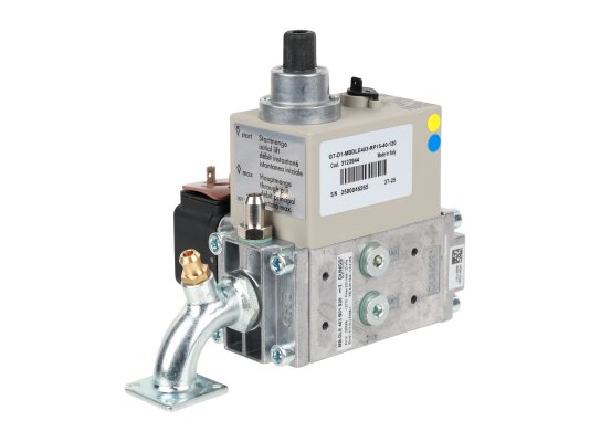 Ecoflam GT-D1-MBDLE403-RP15-40-120 gas ramp, art: 3123944