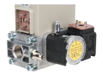 Ecoflam GT-D1-MBDLE403-RP15-40-120 gas ramp, art: 3123944