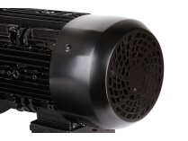 Elco electric motor, 65314873