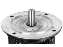 Elco electric motor, 65314873