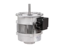 Motor eléctrico Riello RH 135, 3006612