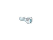 Weishaupt screw M5 x 12 mm, 402207