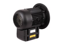 Weishaupt WM-D112/140-2/3K5 electric motor, 21520407030