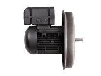 Weishaupt W-D160/240-2/22K electric motor