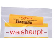 Weishaupt flange G 1", 23230026017