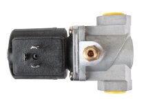 Brahma EG12*AP*AFD 7 13877701 gas electromagnetic valve