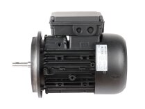 Motor eléctrico Weishaupt W-D90/110-2/1K5 25151307210