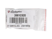 Lamborghini 3981C920 ignition electrode cable