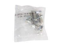 Elco flange locking bolt kit, 13010740