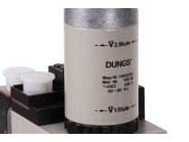 Ecoflam GT-D2-MBZRDLE407-RP20-MAXGAS170-250 Gas Ramp