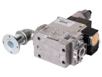 Ecoflam GT-D2-MBZRDLE407-RP20-MAXGAS170-250 Gas Ramp