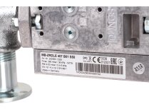 Ecoflam GT-D2-MBZRDLE407-RP20-MAXGAS170-250 Gas Ramp