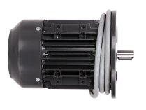 CIB Unigas IE3 80-2P-B5 electric motor