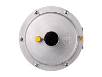 Giuliani Anello FGD32 gas pressure regulator