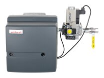Weishaupt WG20N/1-C gas burner, 1, model LN